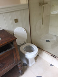 An installed toilet between a decorative basin and cabinet (left) and shower unit (right)